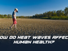 How Do Heat Waves Affect Human Health?
