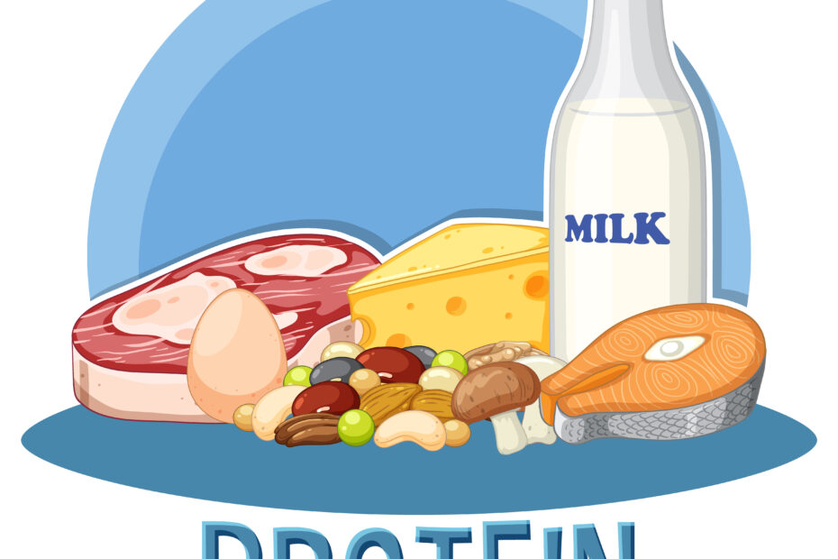 What Is Protein?